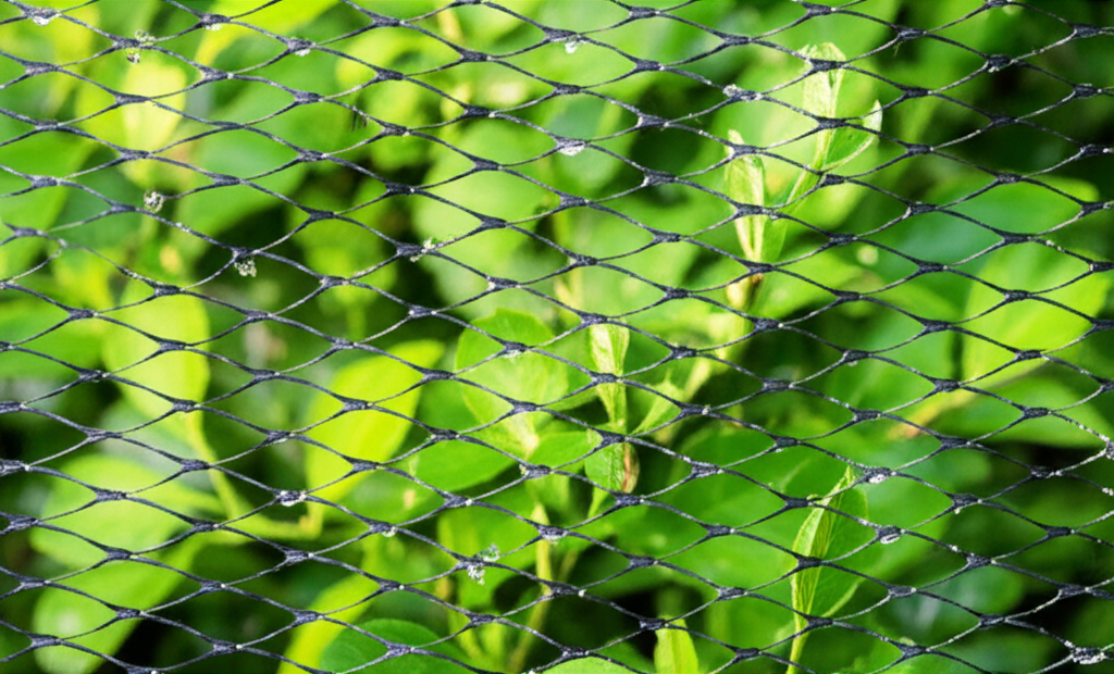 Solar panel bird mesh protection system